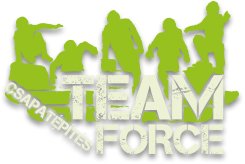 Team Force logo